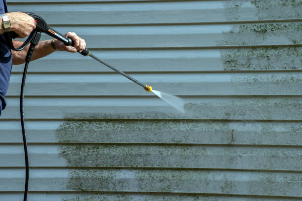 Best Roof Power Washing Services  in Arche, OK