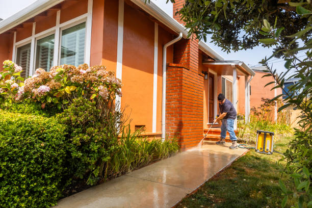 Best House Pressure Washing  in Arche, OK