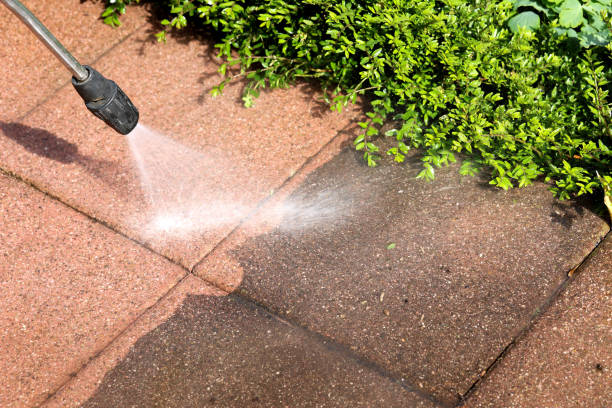 Best Pressure Washing Near Me  in Arche, OK